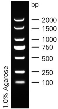 marker1.jpg
