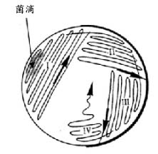菌種庫-菌滴.jpg