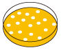 ZC205轉(zhuǎn)化圖.jpg