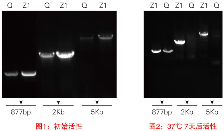 ZT201圖3.jpg