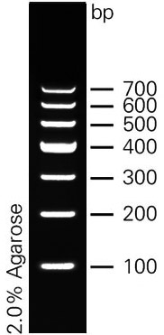 marker1.jpg