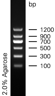 Marker2.jpg