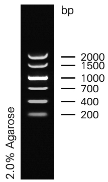 Marker5.jpg