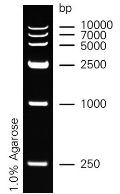 Marker6.jpg
