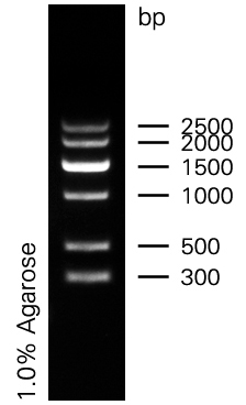 marker7.jpg