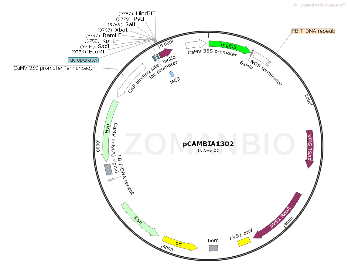 ZK109PCAMBIA1302.png