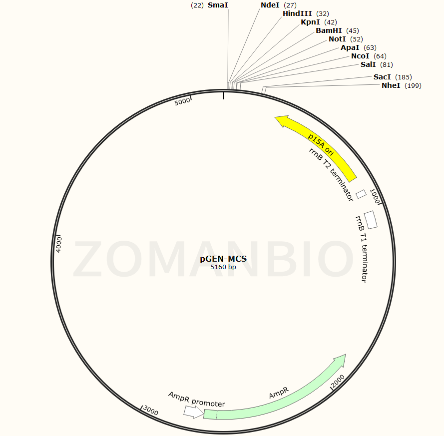 ZK121pGEN-MCS.png