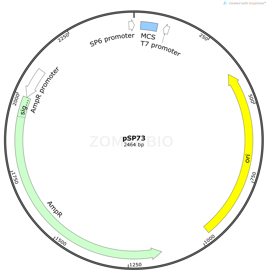 ZK123pSP73.png