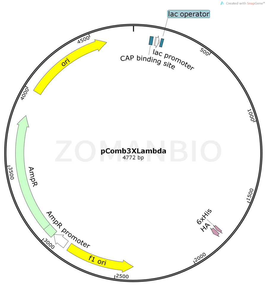 ZK128pComb3XLambda.png
