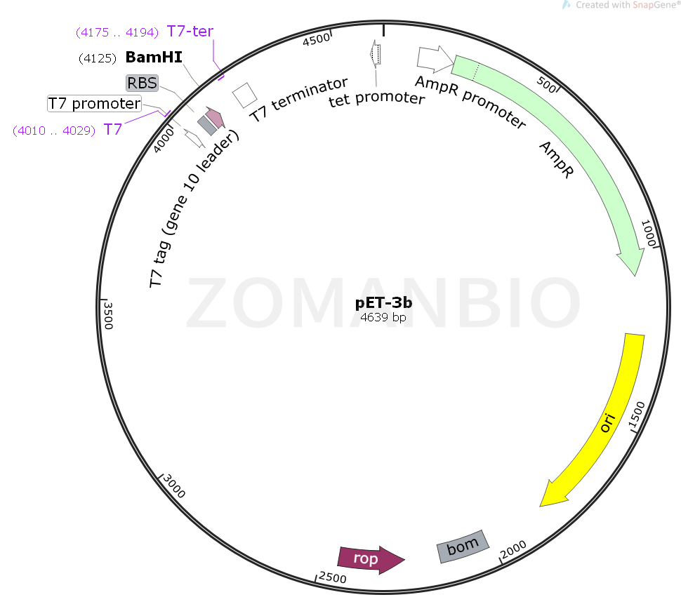 ZK142pET-3b.png