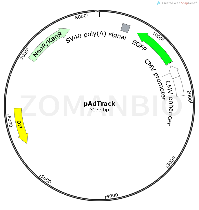 ZK720pAdTrack.png