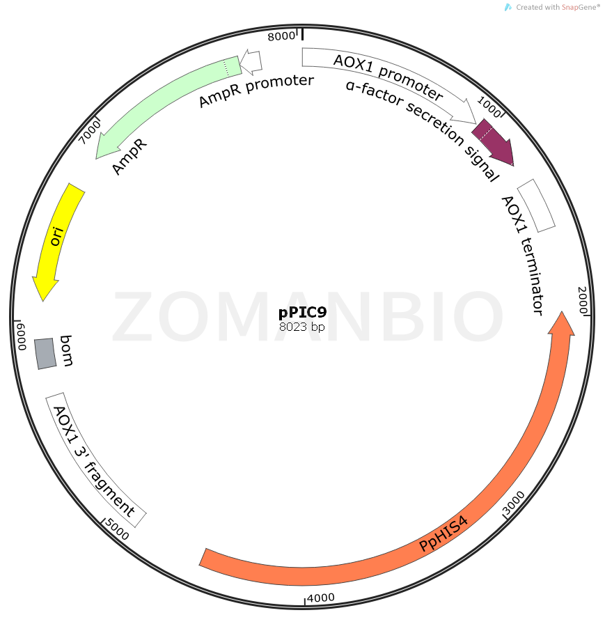 ZK921pPIC9.png