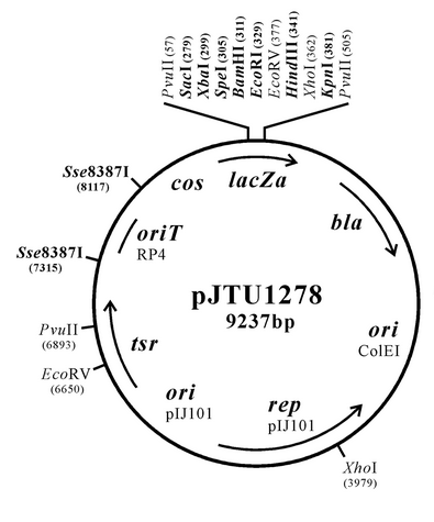 ZK1074pJTU1278.png