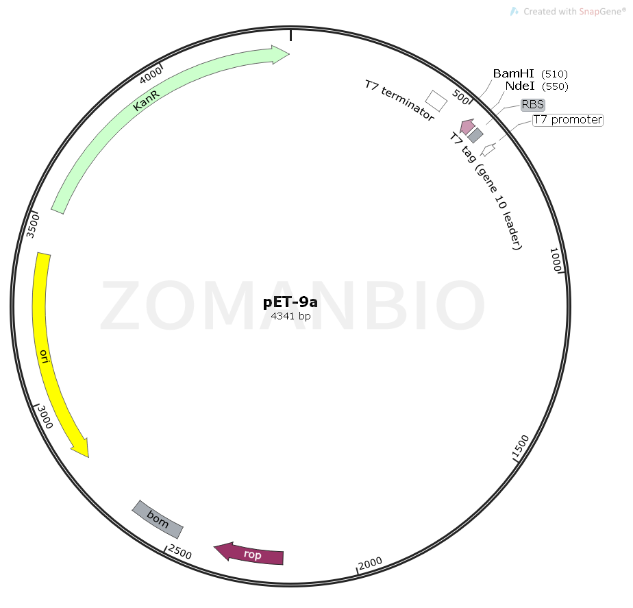 ZK1738 pET-9a.png