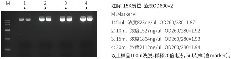 17.9.30質(zhì)粒小提中量.jpg